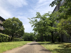 お庭だより＊お散歩道