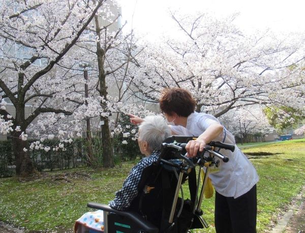 【2026　クリニック病棟のお花見】 ～ニッセイ聖隷クリニック～