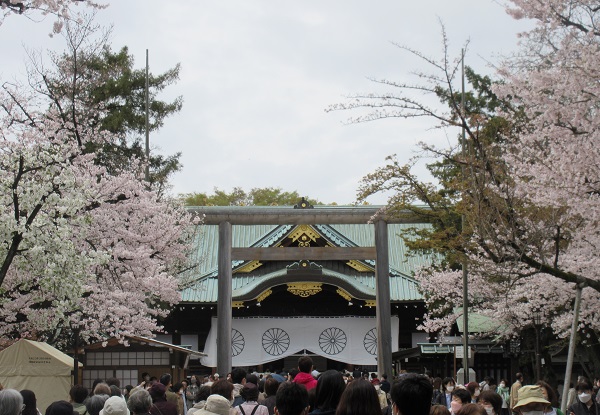 🚌靖国神社お花見バスツアー🌸